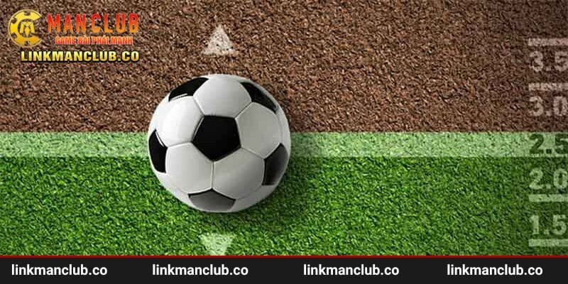Khám phá sơ lược về kèo nhà cái hôm nay