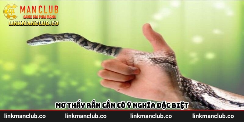 Mơ thấy rắn cắn có ý nghĩa đặc biệt