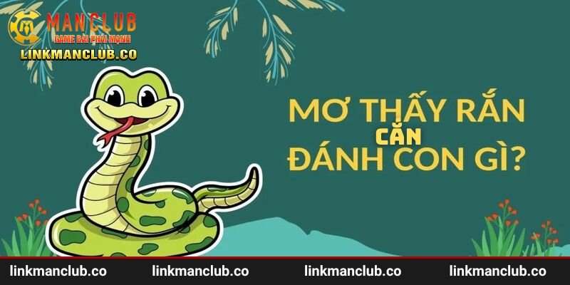 Số may mắn khi nằm mơ thấy rắn cắn