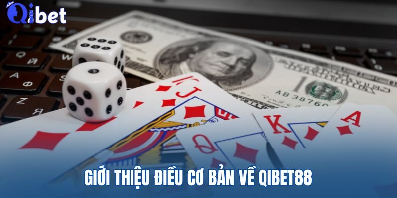 Thông tin nền tảng về QIBET