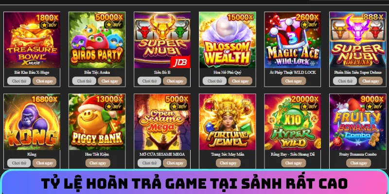 no-hu-c54-ty-le-hoan-tra-cao