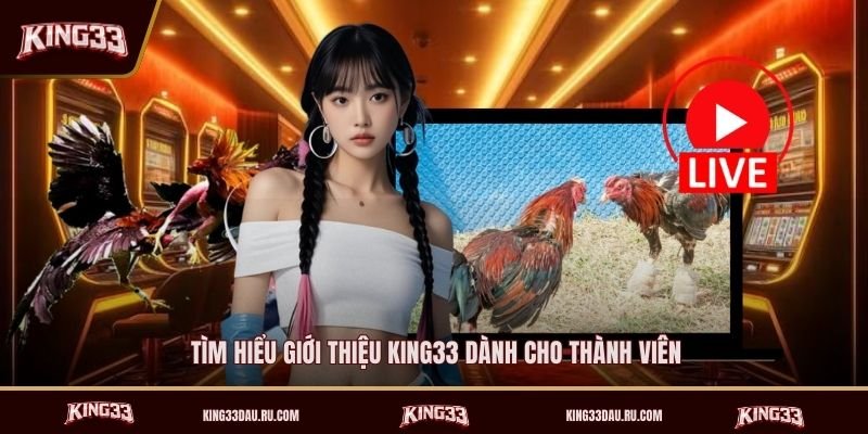 tim-hieu-gioi-thieu-king33-danh-cho-thanh-vien